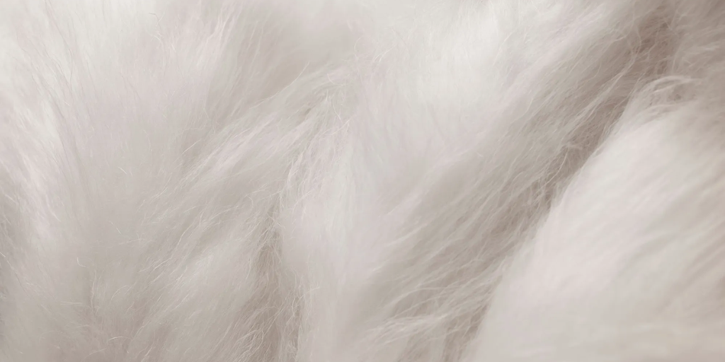 Biofluff jeane+jax meets BioFluff: plant-based fur
